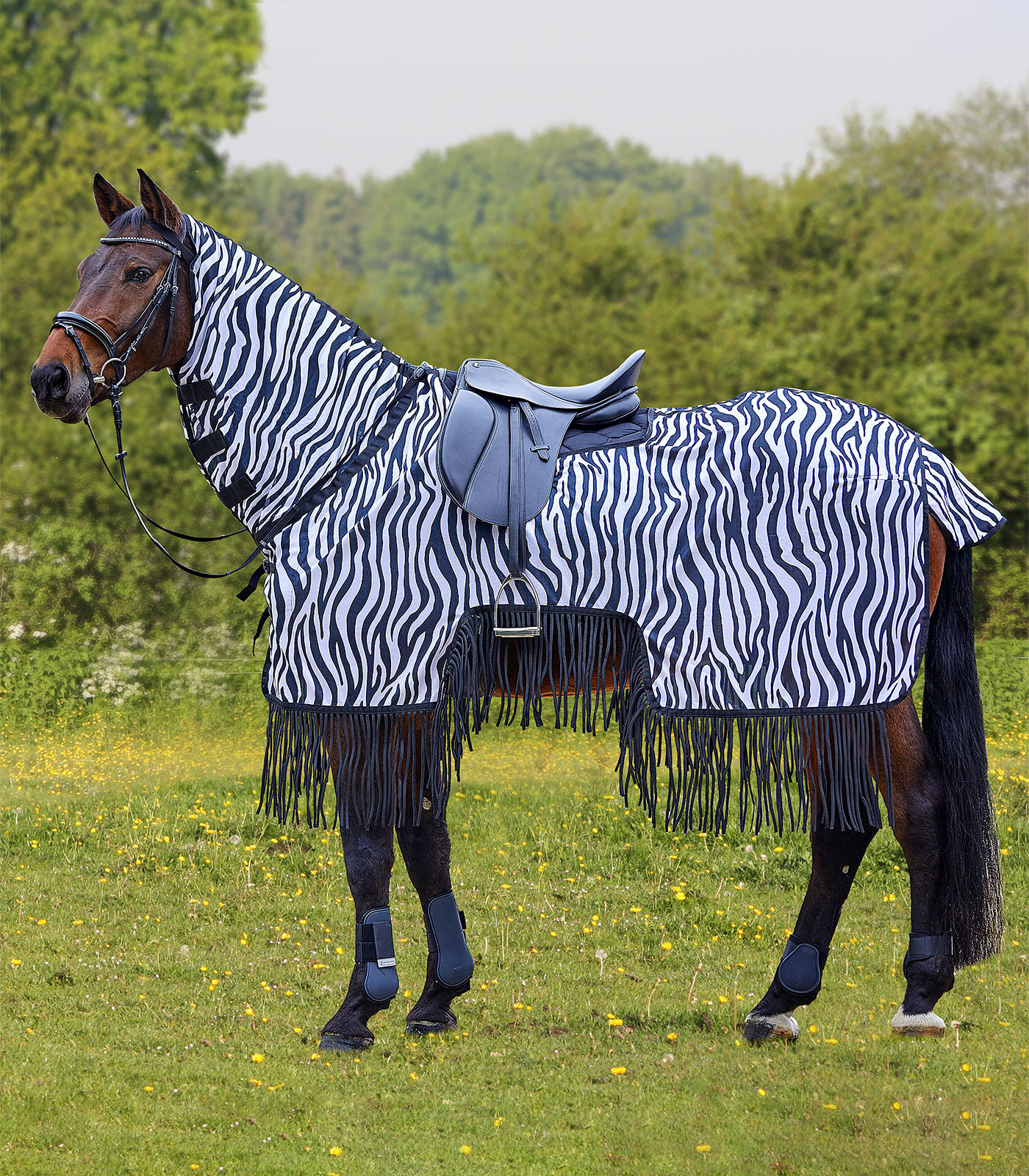 WALDHAUSEN Fliegenausreitdecke Zebra mit Fransen
