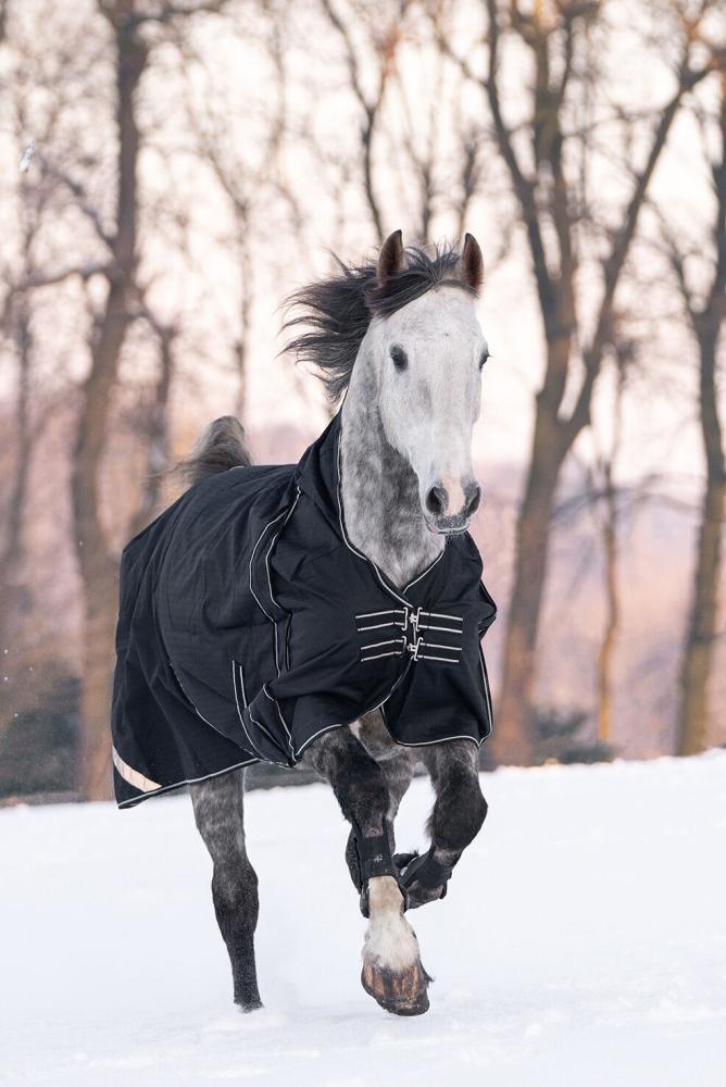 HKM Highneckdecke Innsbruck - 1200 D, 400 g Wattefüllung, schwarz Ein Schimmel galoppiert frontal durch den Schnee und trägt die schwarze HKM Highneck Winterdecke Innsbruck.