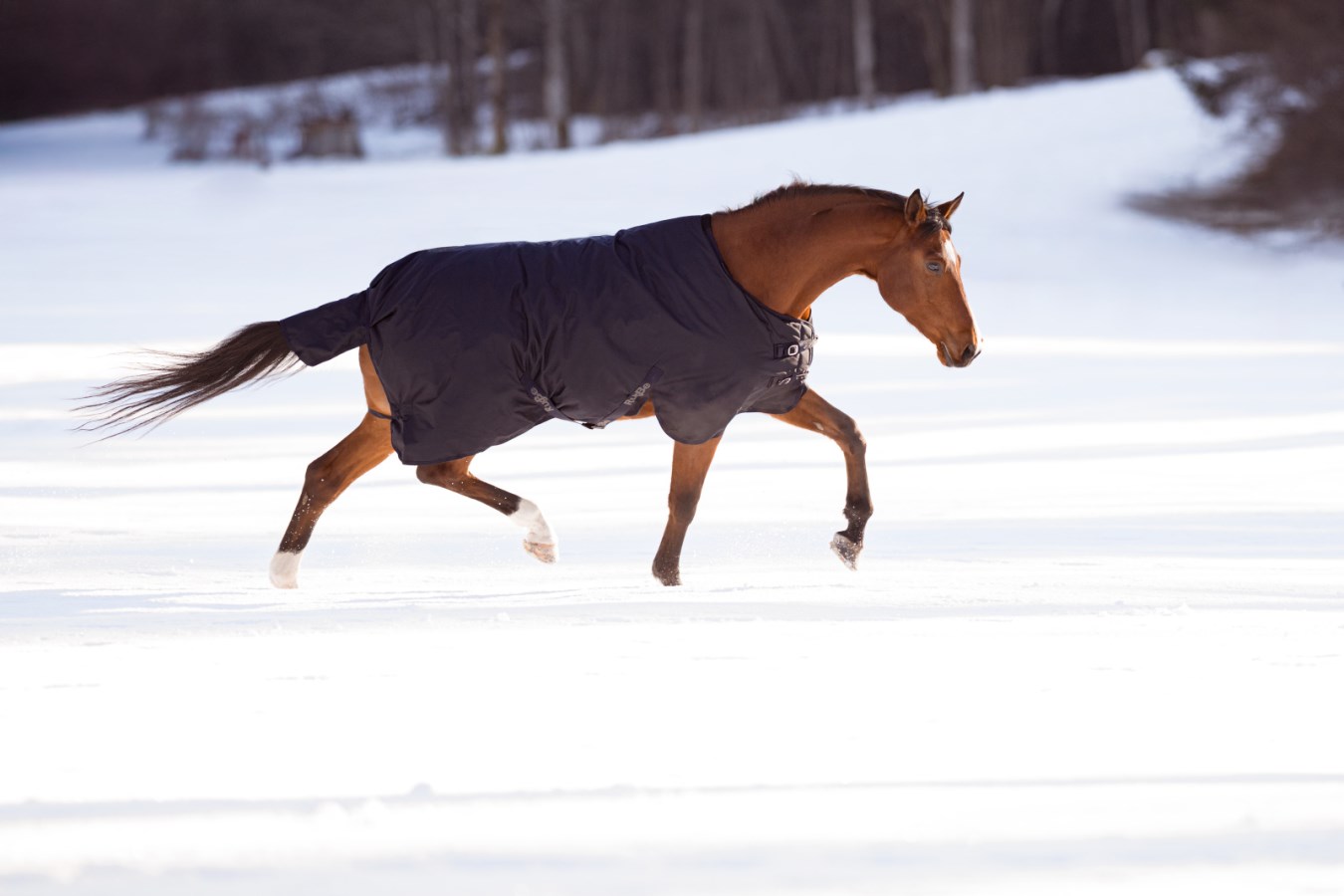 KERBL RugBe Winterdecke IceProtect 300 g