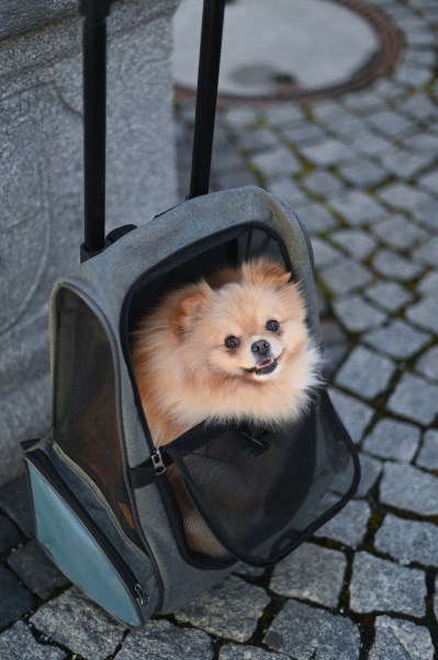 KERBL Trolley Vacation