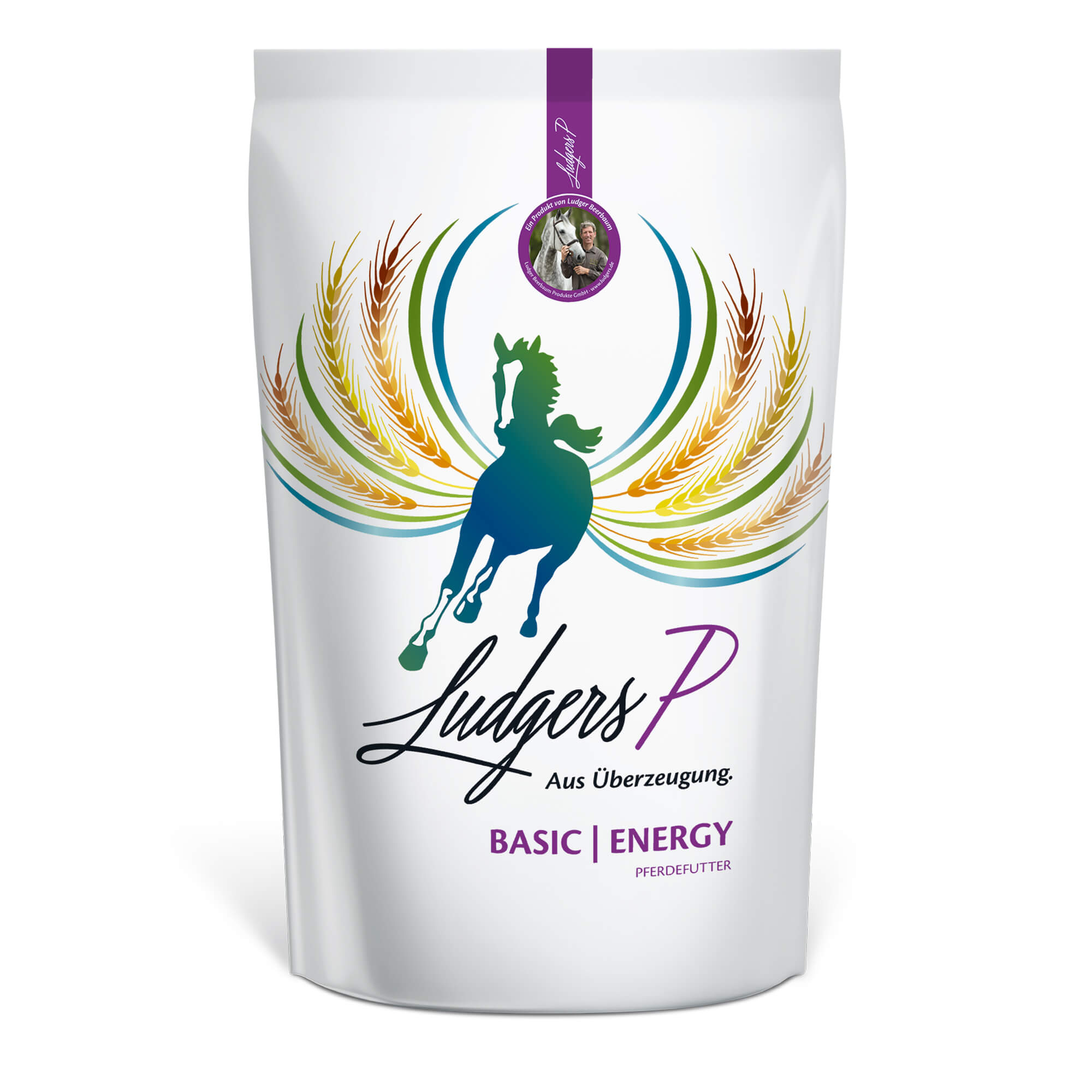 LUDGERS P BASIC | ENERGY