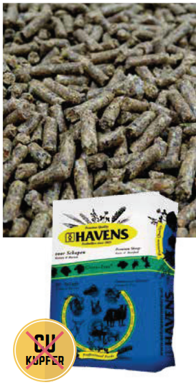 HAVENS Schaf-Konditions-Pellets (3 mm) BigBox