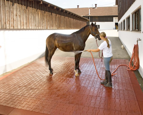 Komfortex® H-Steinplatte 50 x 50 x 4 cm