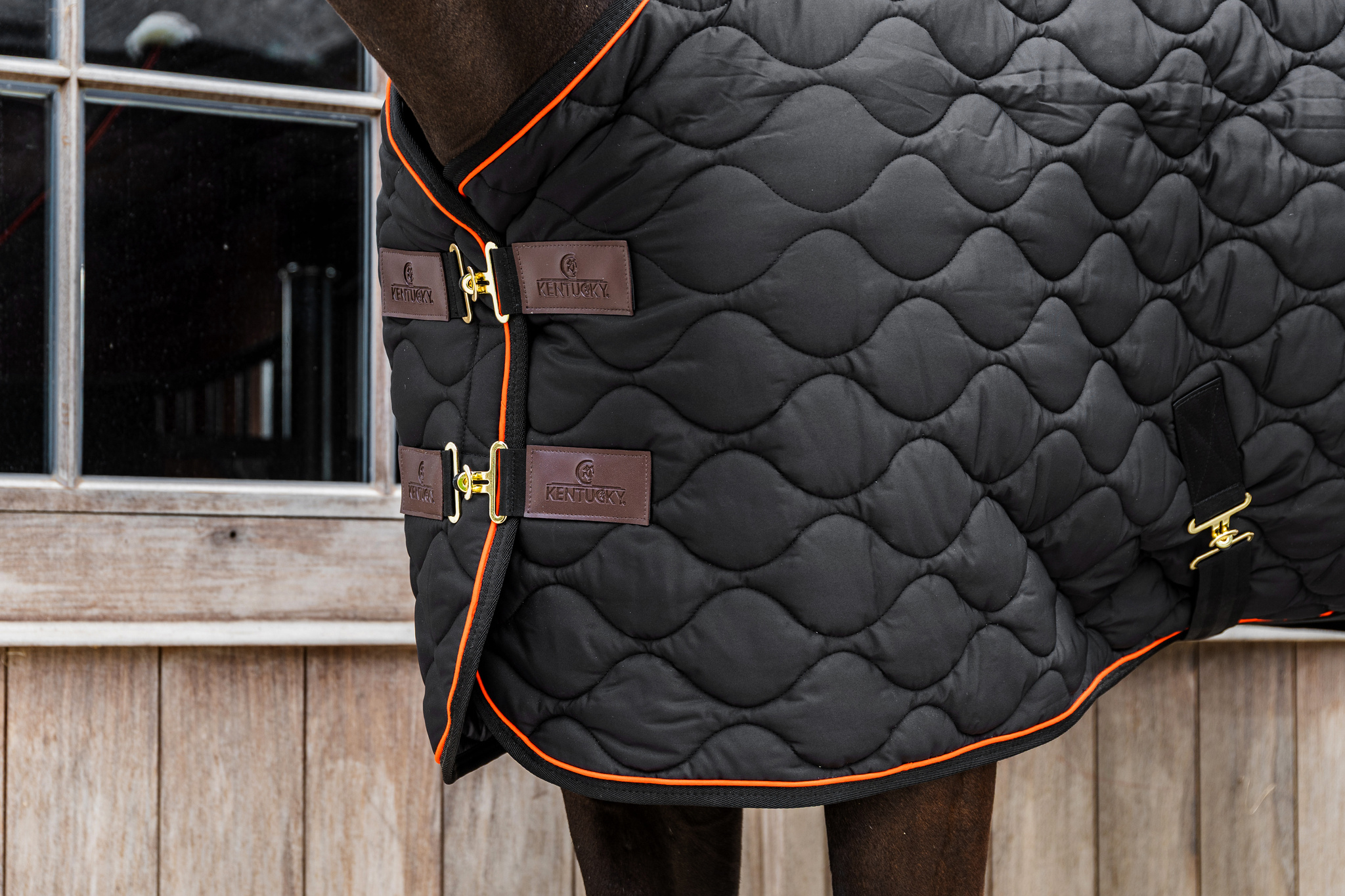 KENTUCKY® HORSEWEAR Stalldecke Wave 160g, schwarz Detailansicht der schwarzen Stalldecke Wave mit Wellensteppung, orangener Biese und goldenen Brustverschlüssen.