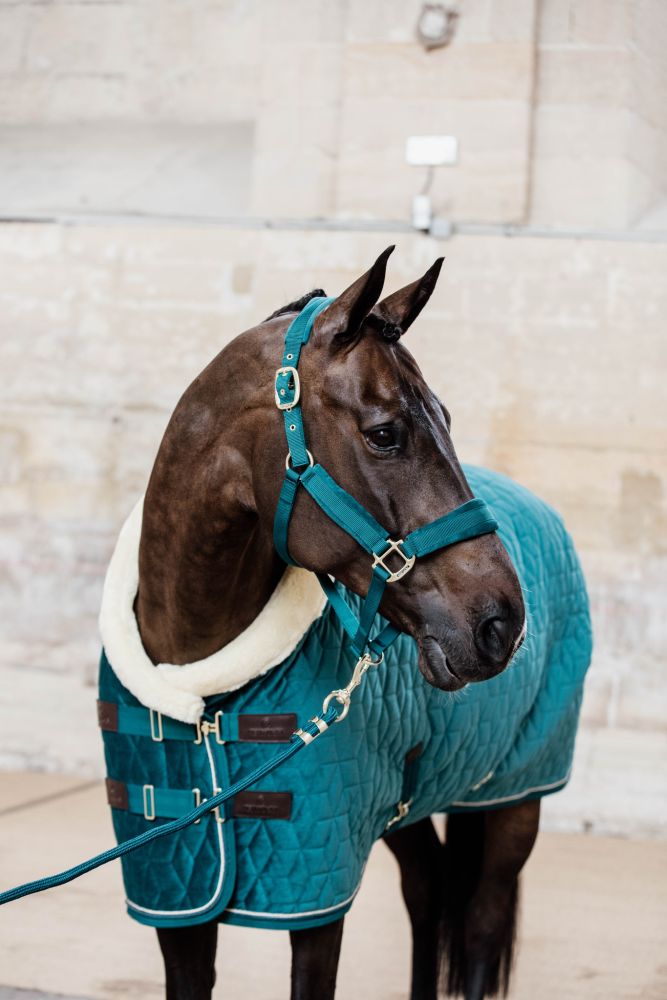 KENTUCKY® HORSEWEAR Velvet Halfter, smaragdgrün
