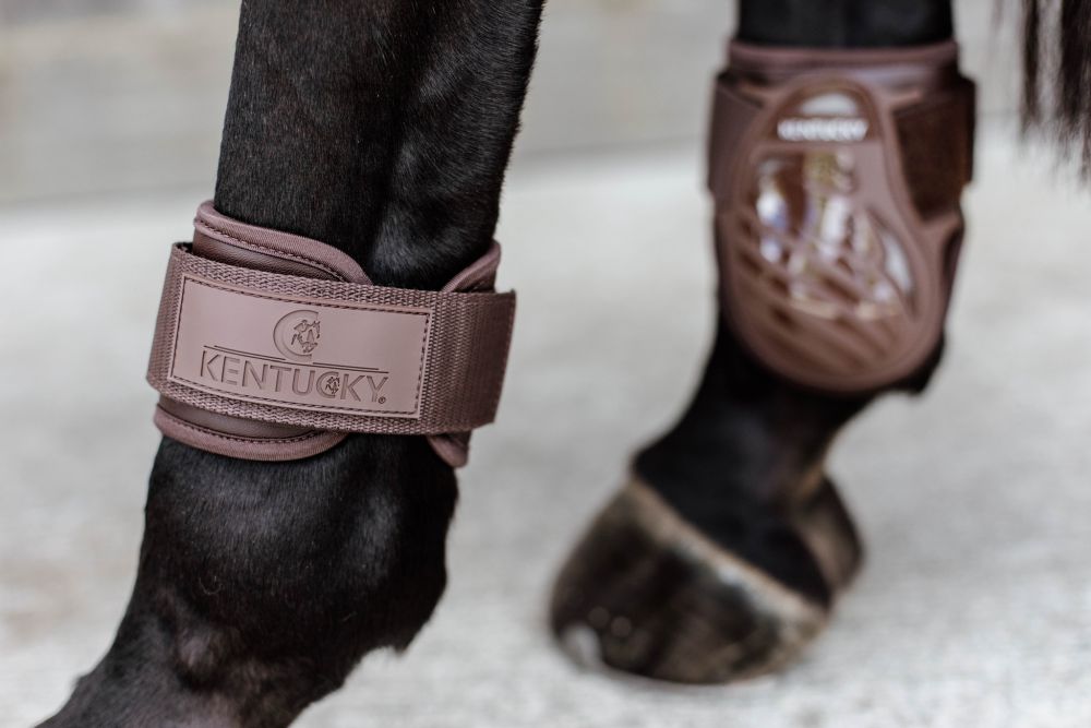 KENTUCKY® HORSEWEAR Streichkappe Young Horse, braun