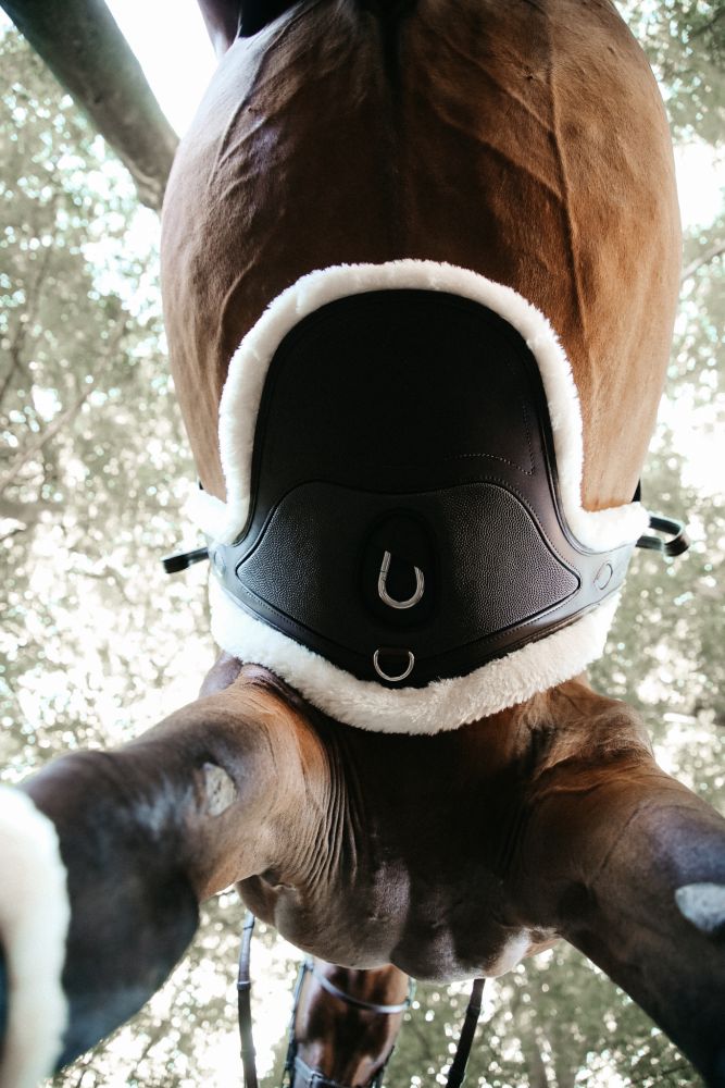 KENTUCKY® HORSEWEAR Lammfell Stollengurt Spezial