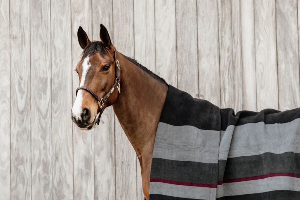 KENTUCKY® HORSEWEAR Fleecedecke Square Stripes Heavy, schwarz/grau