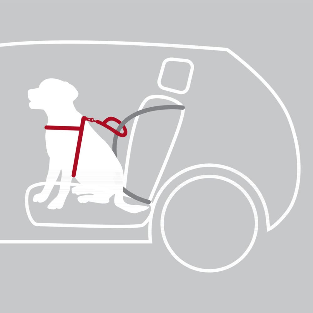 TRIXIE Auto-Sicherheitsgeschirr Dog Protect
