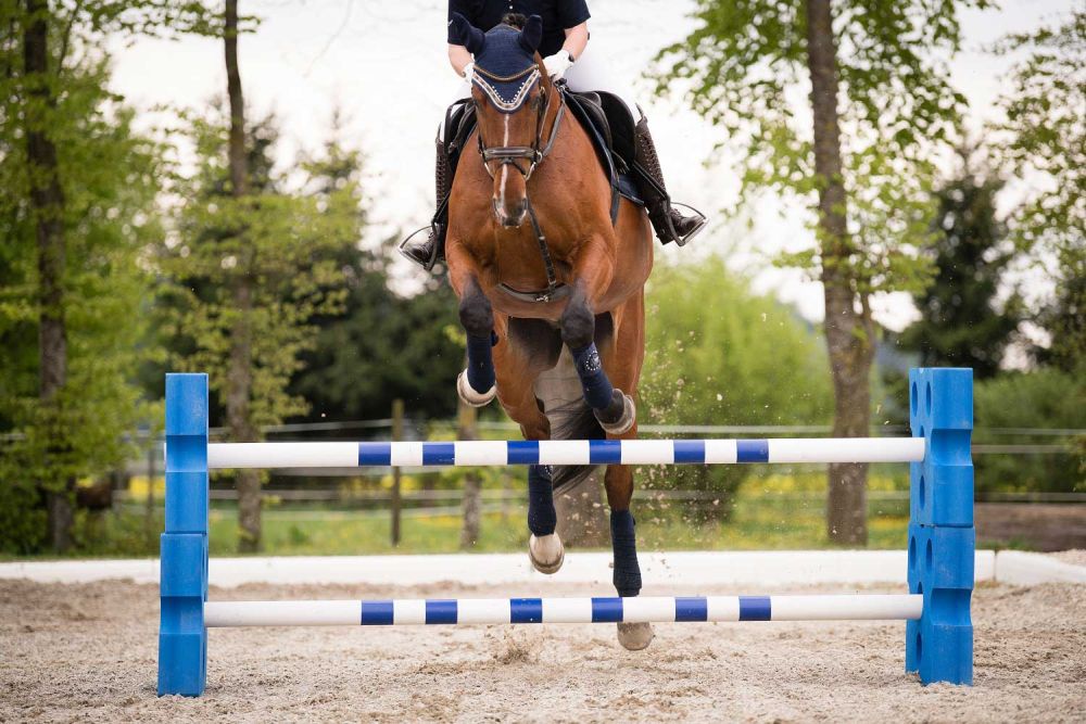 EQUIMORE Cavaletti SP Standard XL 