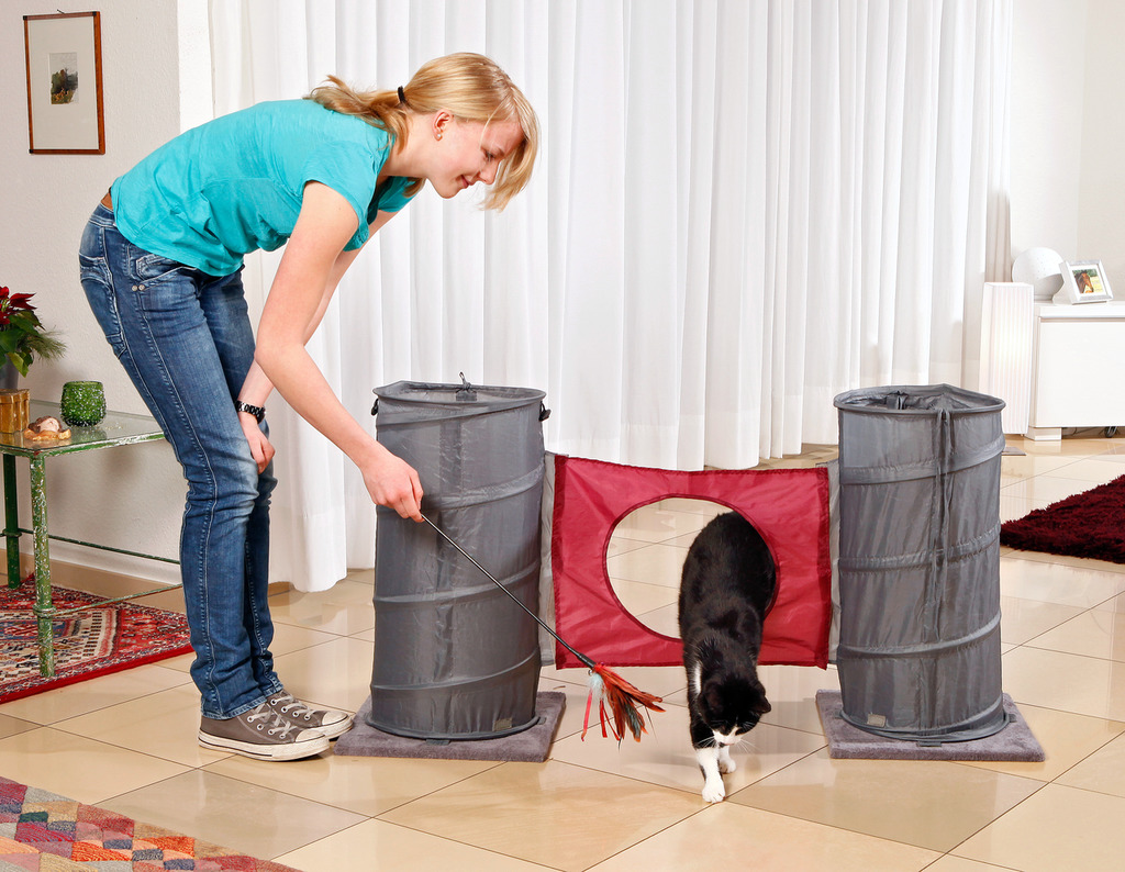 Cat Agility Set