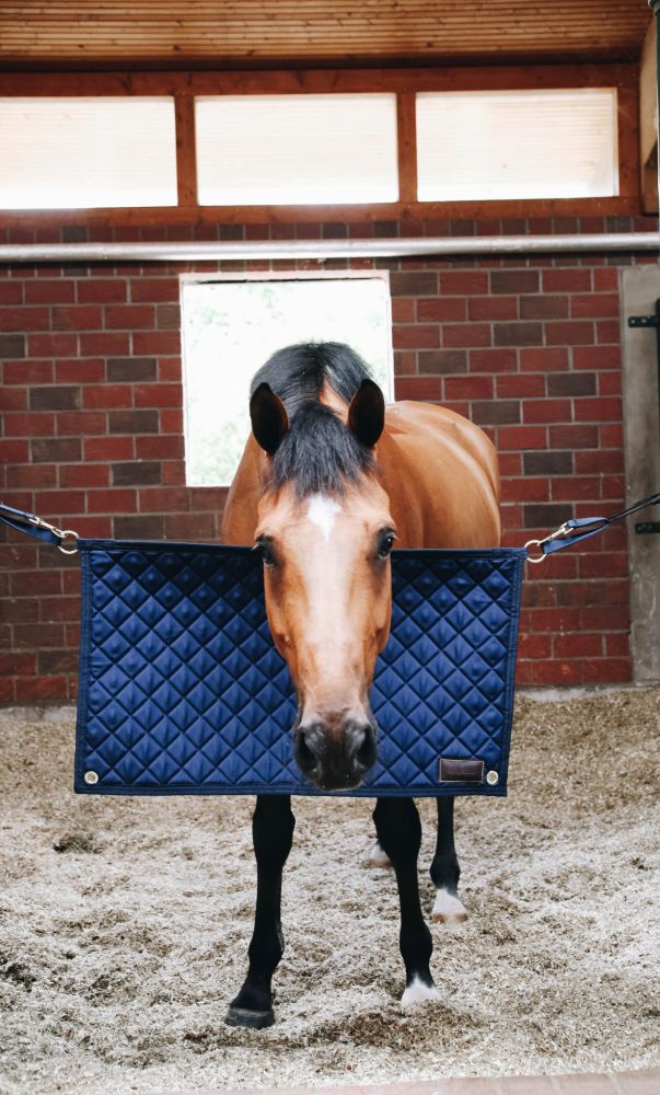 KENTUCKY® HORSEWEAR Stable Guard, marine