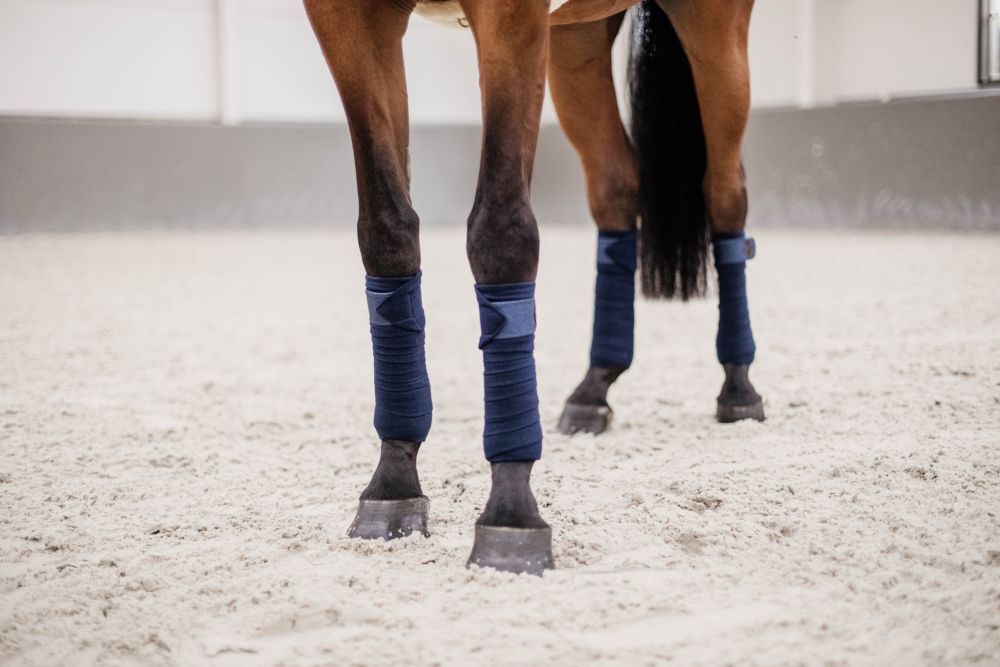 KENTUCKY® HORSEWEAR Fleece-Bandagen Glitter, 4er-Set, marine