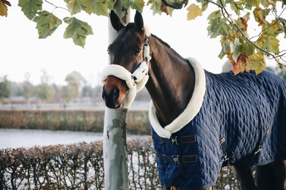 KENTUCKY® HORSEWEAR Turnierdecke, marine