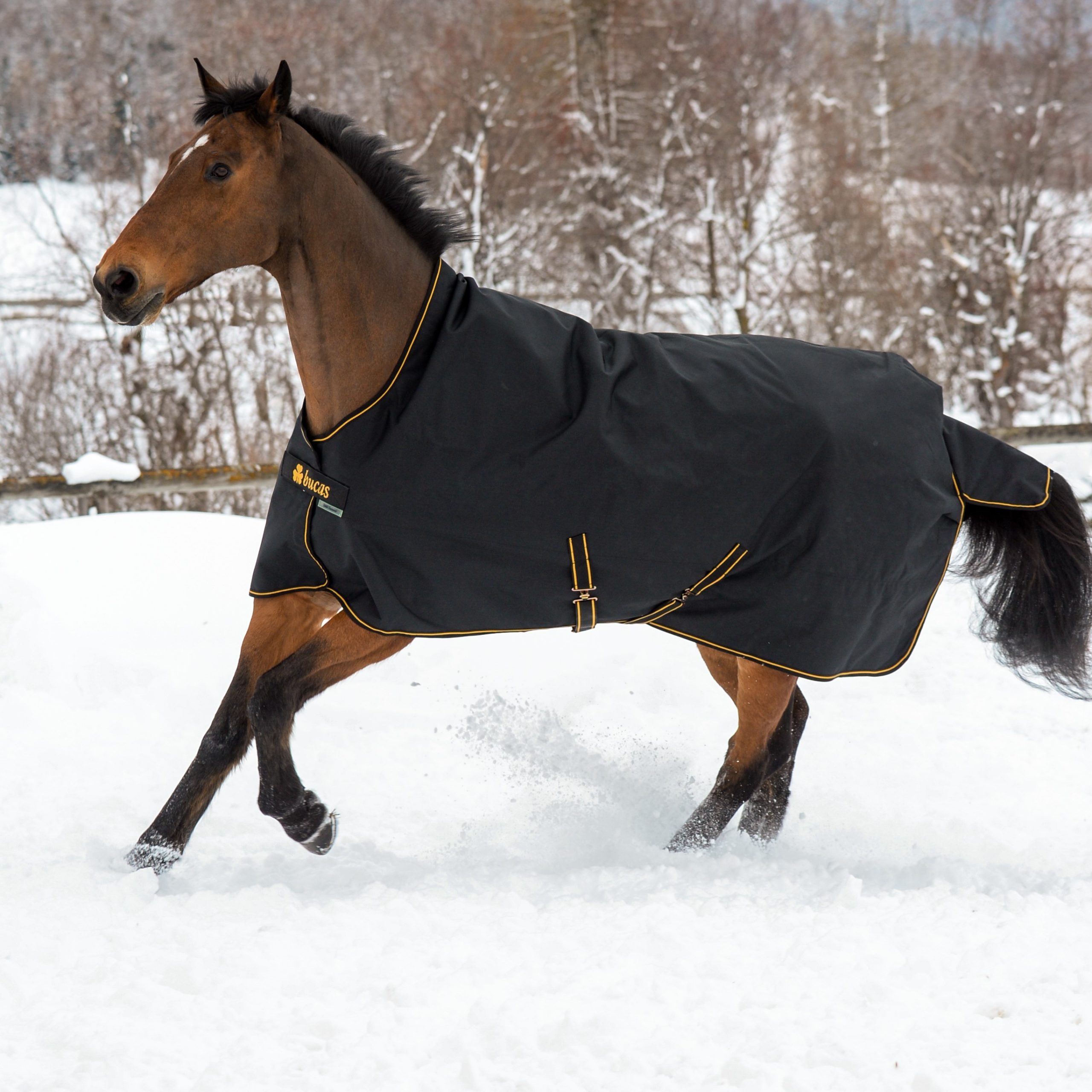 BUCAS Irish Turnout 100 g, schwarz/gold 