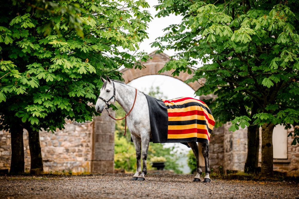 HORSEWARE® Newmarket Fleece Square, witney/gold