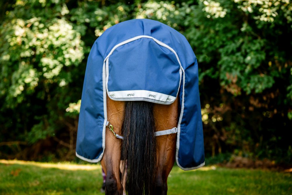 HORSEWARE® Amigo® Bravo 12 Wug Turnout, 0 g, navy/titanium