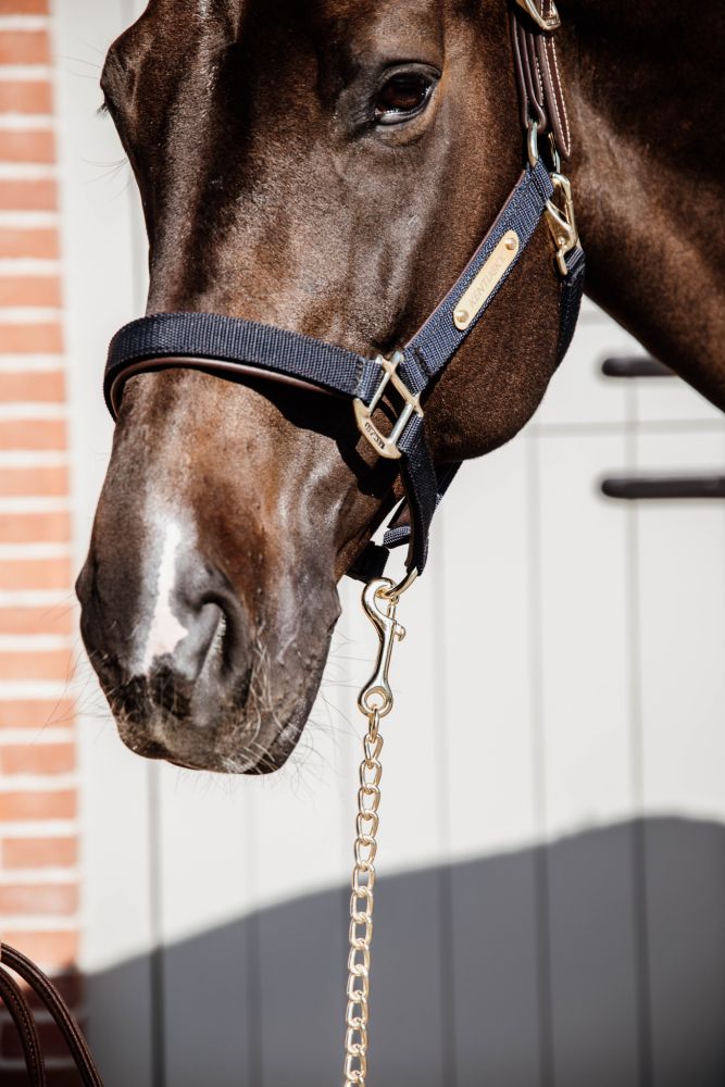 KENTUCKY® HORSEWEAR Lederkettenleine, schwarz