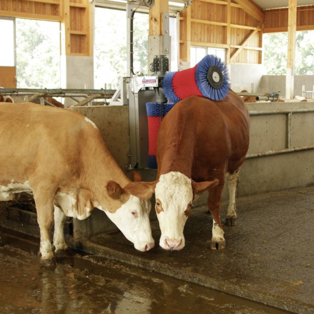 HAPPYCOW Kuhputzmaschine Duo