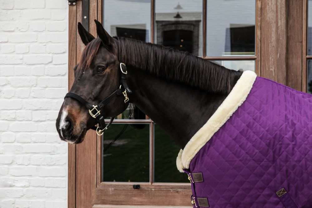 KENTUCKY® HORSEWEAR Turnierdecke, königliches-violett