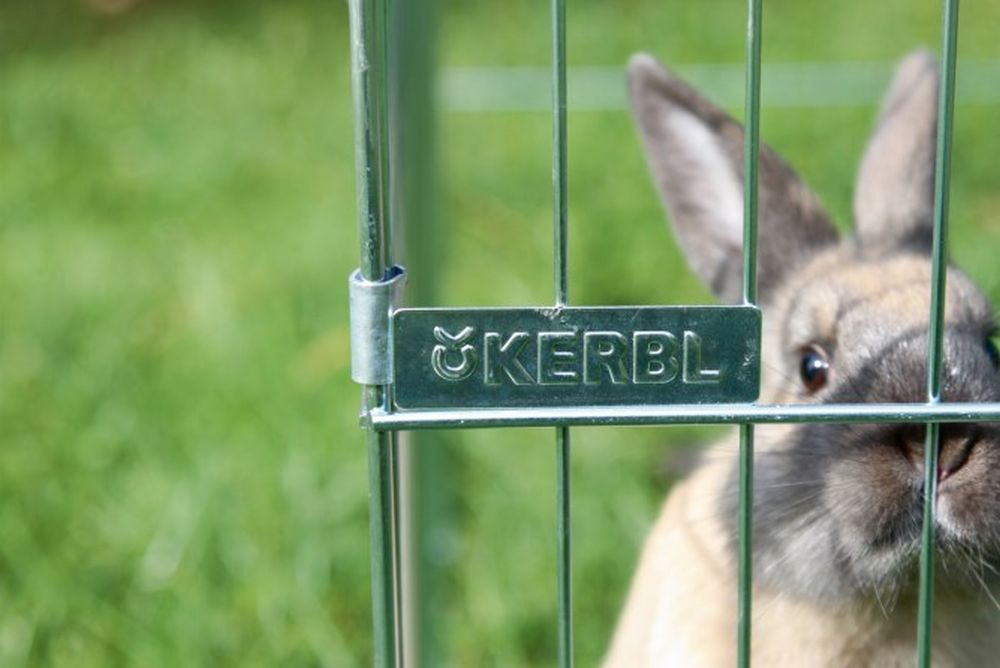 KERBL Freilaufgehege Easy