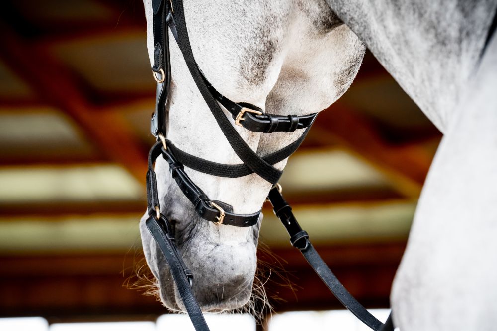 HORSEWARE® Micklem® 2 Multi Bridle, black