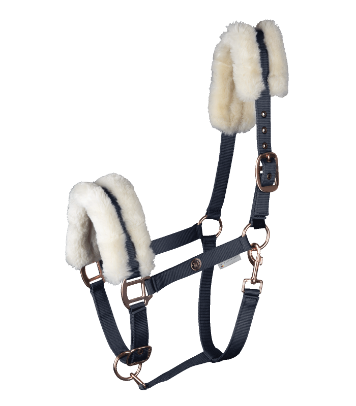Waldhausen Halfter Modern Ros in nachtblau mit roségoldenen Beschlägen und weicher Fellpolsterung an Nase und Genick.