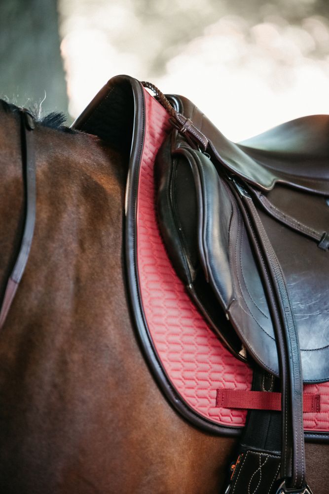 KENTUCKY® HORSEWEAR Schabracke Color Edition Leder Springen, koralle