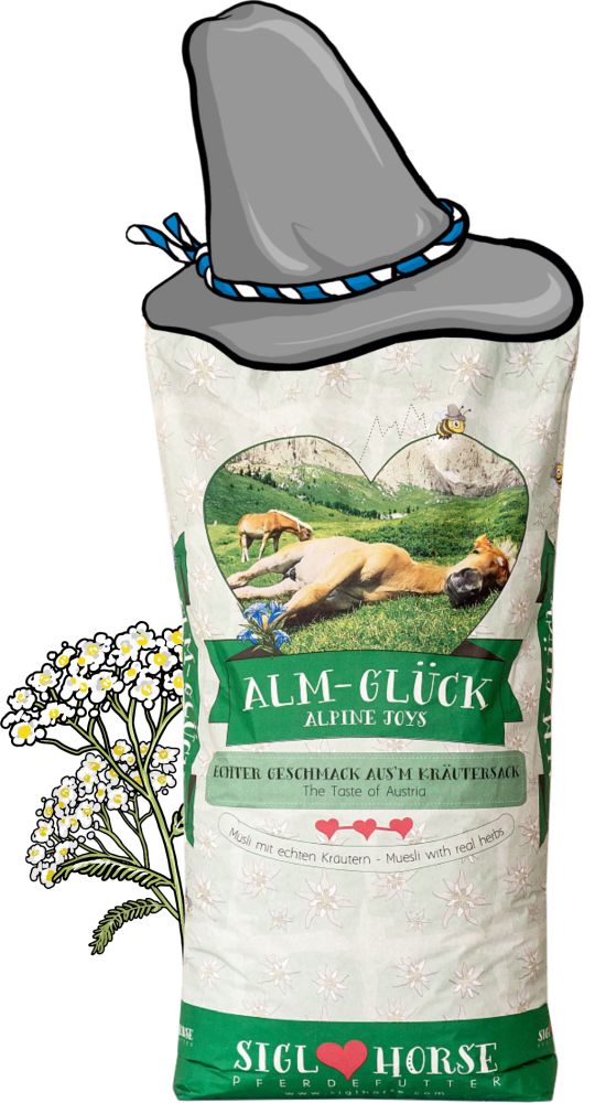 SIGLHORSE ALM-GLÜCK