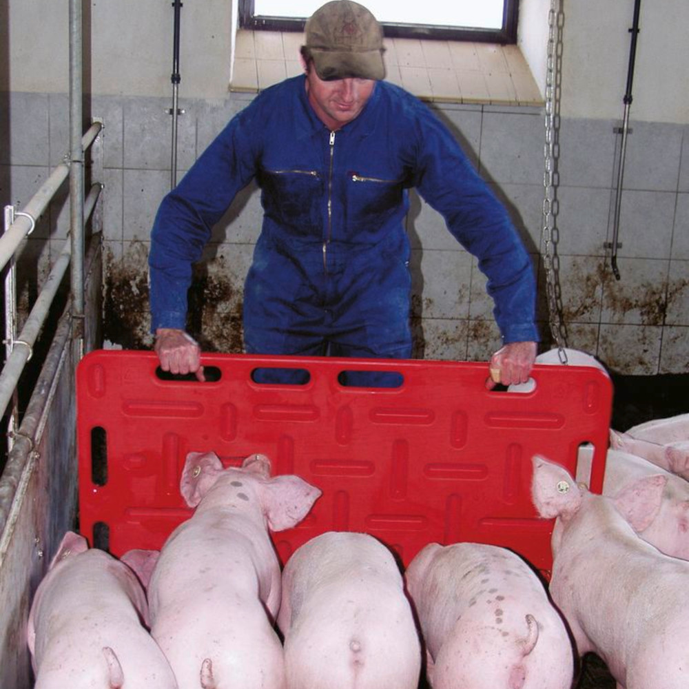 KERBL Schweine-Treibbrett