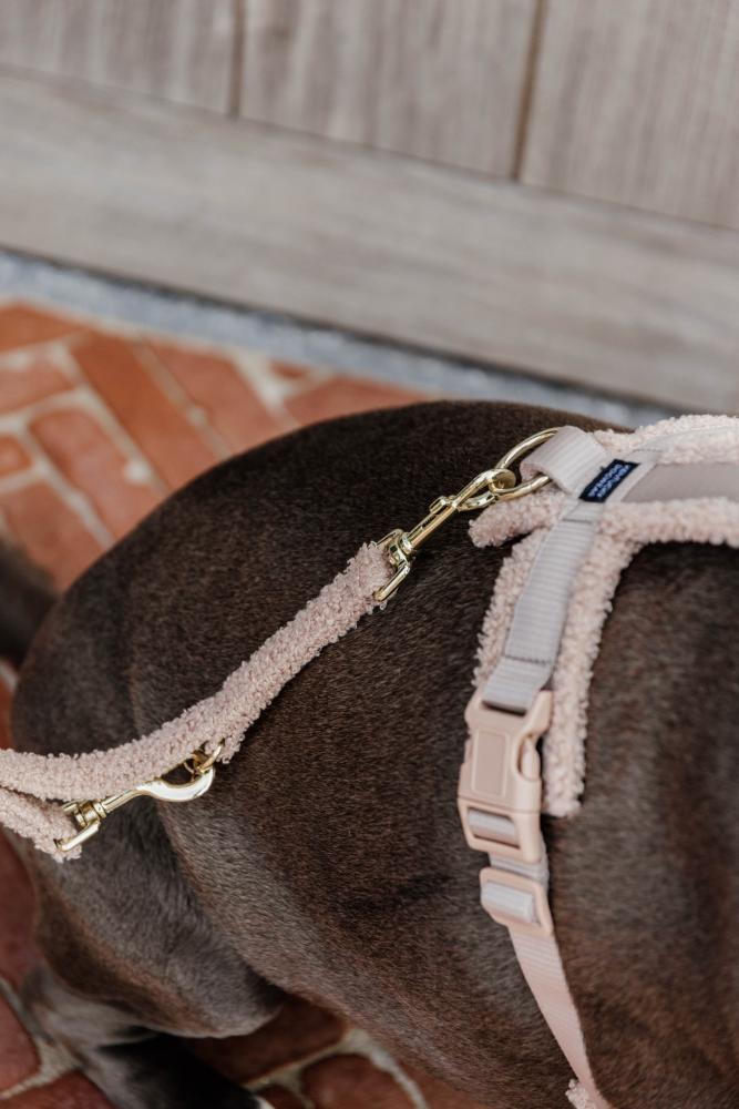 KENTUCKY® DOGWEAR Hundeleine aus Teddyfleece 200 cm, beige