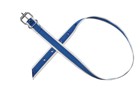 LISTER Tierhalsband MB 120 RS, blau/weiß