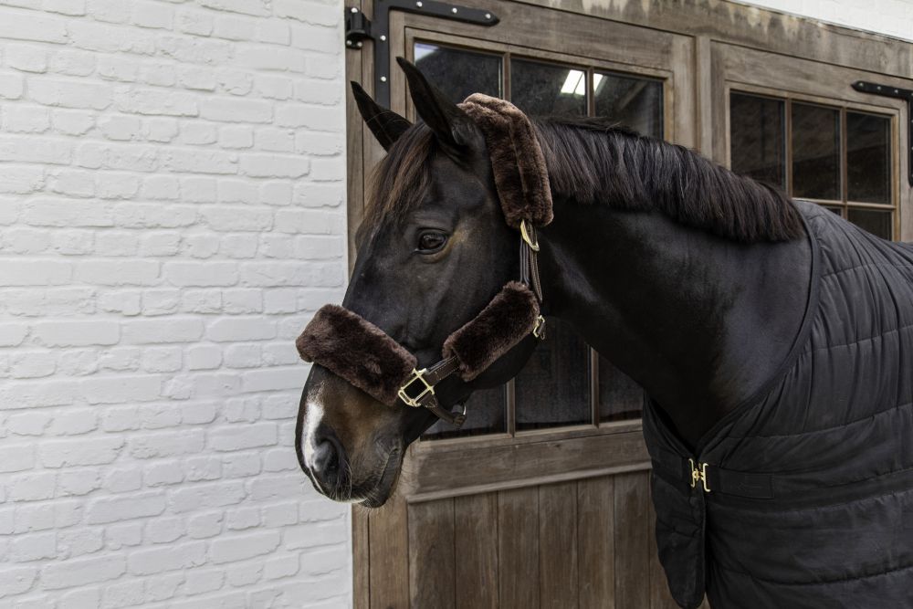 KENTUCKY® HORSEWEAR Schaffell-Halfter-Set, braun