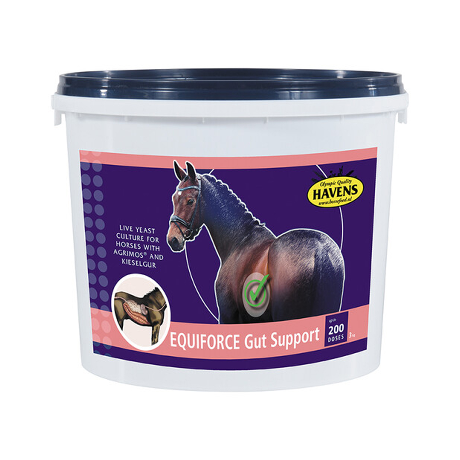 HAVENS EQUIFORCE Gut Support