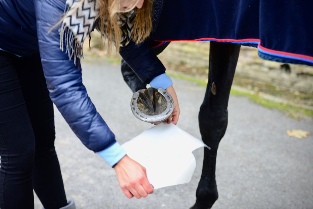 KENTUCKY® HORSEWEAR Sole Tape