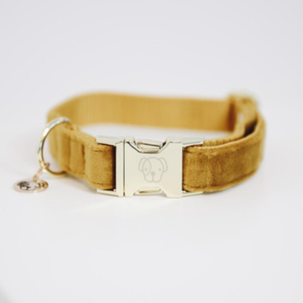 KENTUCKY® DOGWEAR Hundehalsband Samt, senfgelb