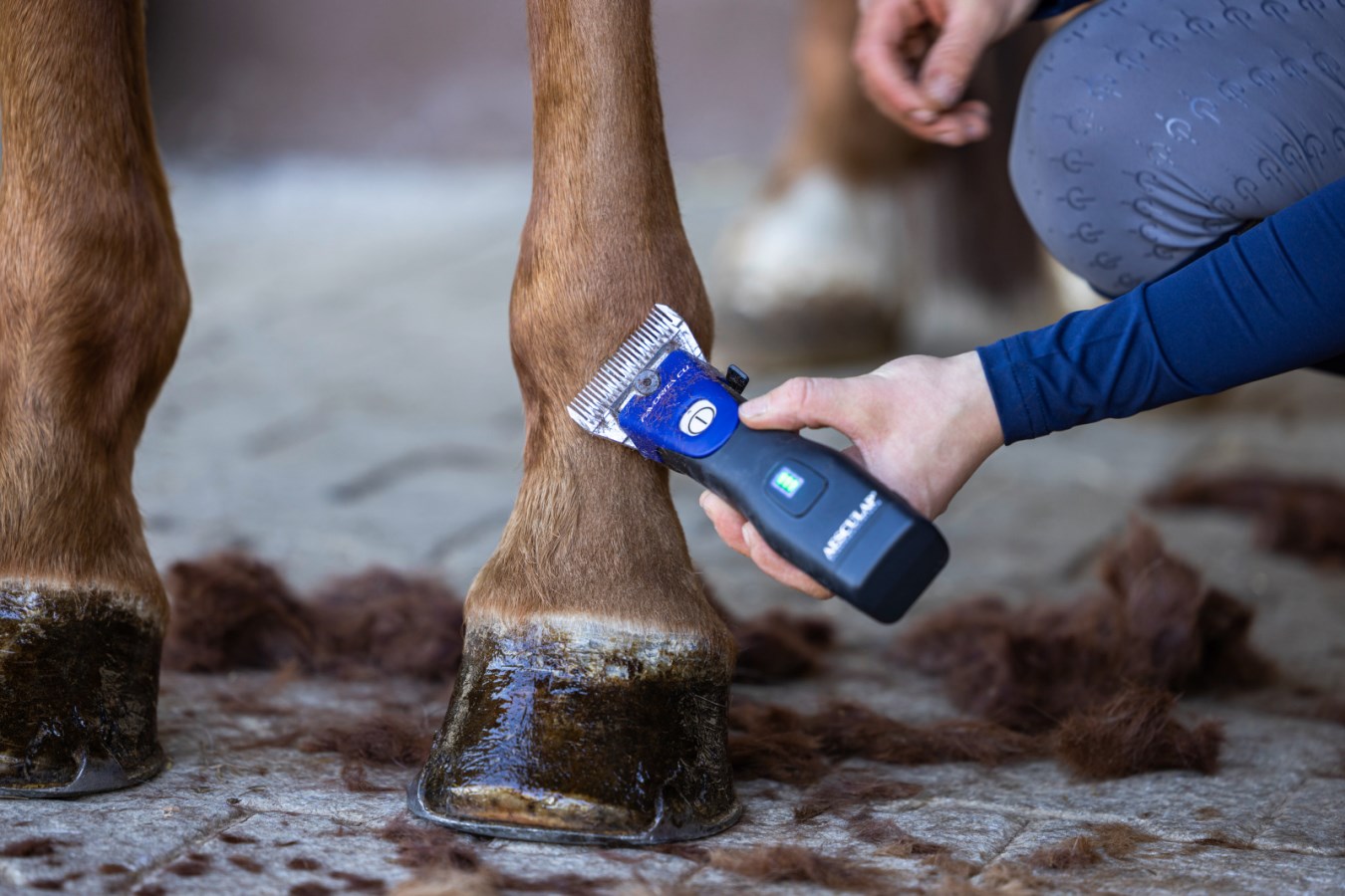 Blaue AESCULAP Akkuschermaschine Favorita CLi schert das Fell eines braunen Pferdebeins direkt über dem Huf.
