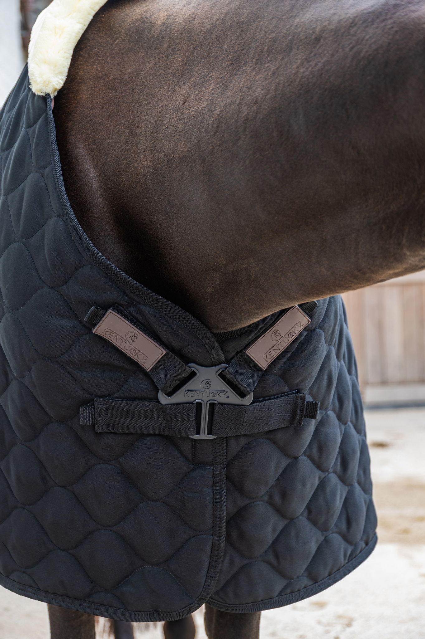 KENTUCKY® HORSEWEAR Stalldecke Comfort 100 g, schwarz Detailansicht der schwarzen Stalldecke Comfort am Pferd mit gestepptem Muster und doppeltem Brustverschluss.