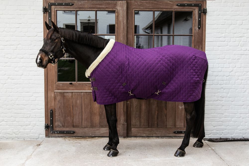 KENTUCKY® HORSEWEAR Turnierdecke, königliches-violett