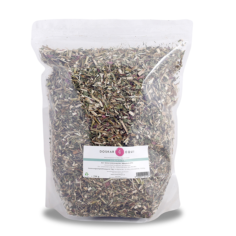 DOSKAR 4 EQUI Echinacea