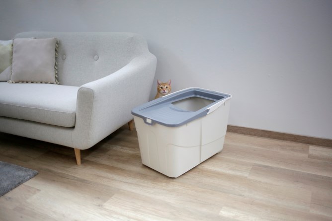 KERBL Katzentoilette Buxo,grau/blau, 56 x 39 x 38,5 cm, mit Schaufel