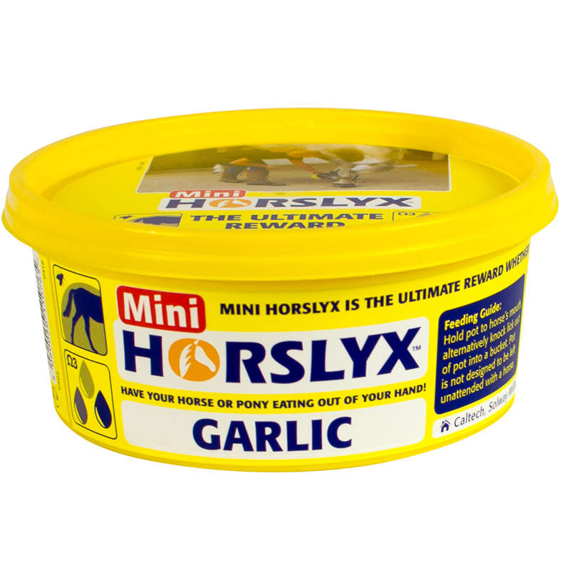 DERBY® HORSLYX GARLIC BALANCER