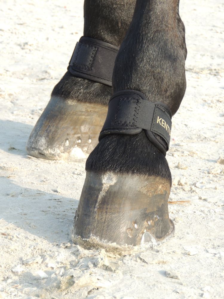 KENTUCKY® HORSEWEAR Fesselschutz