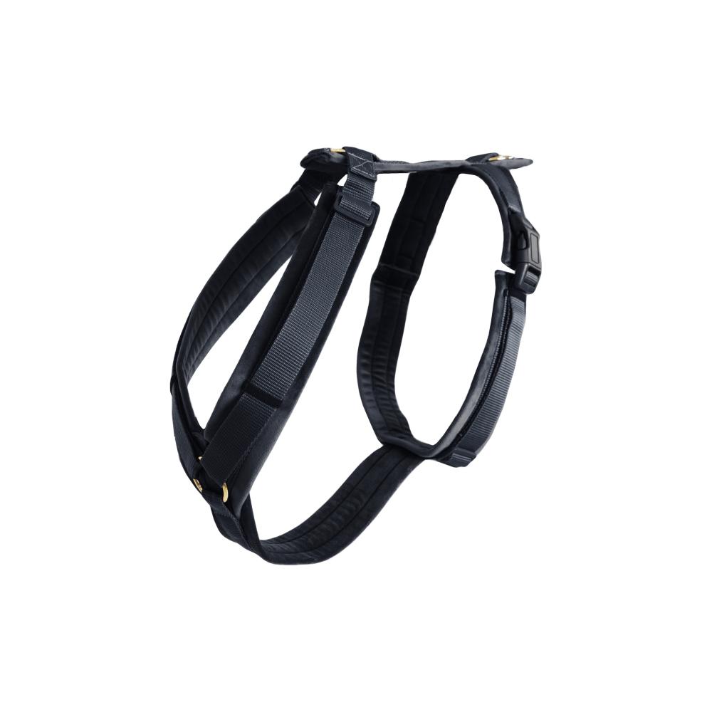 KENTUCKY® DOGWEAR Hundegeschirr Aktiv aus Samt, schwarz