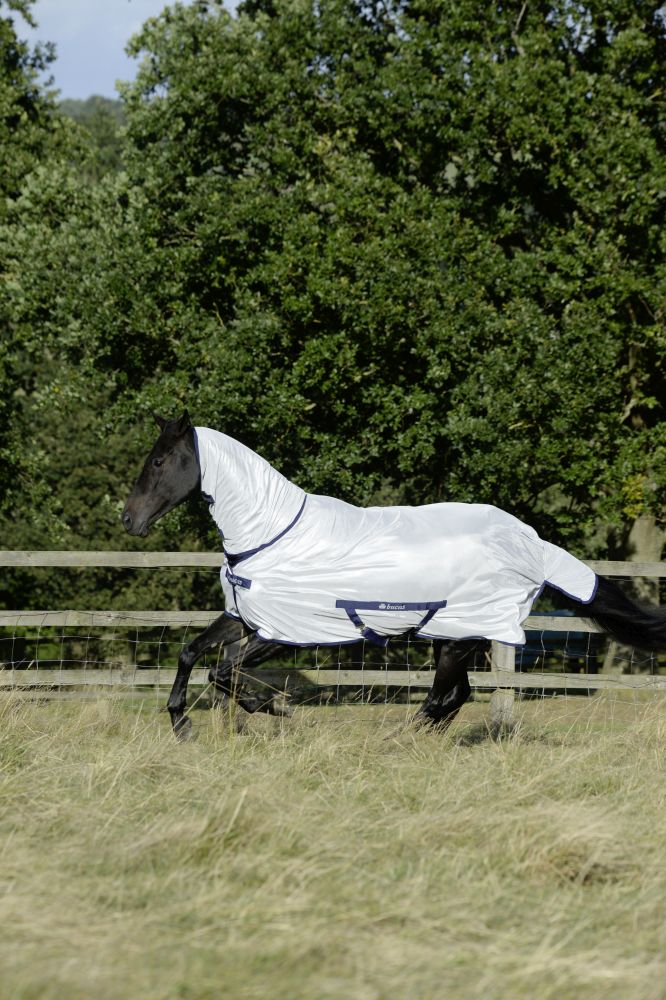 BUCAS Freedom Fly Sheet