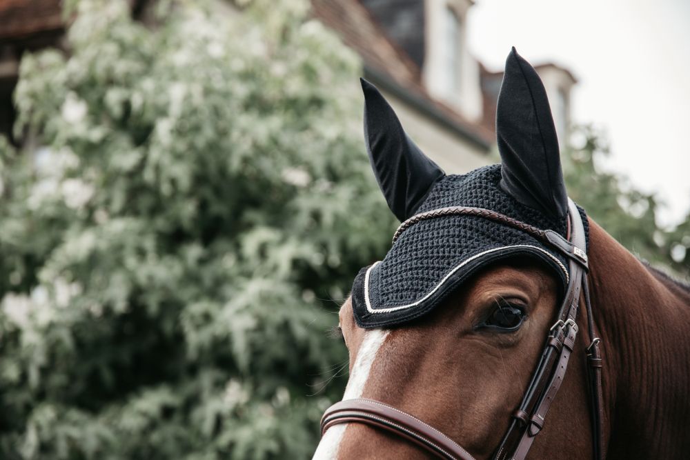 KENTUCKY® HORSEWEAR Fliegenhaube Wellington Cord, schwarz