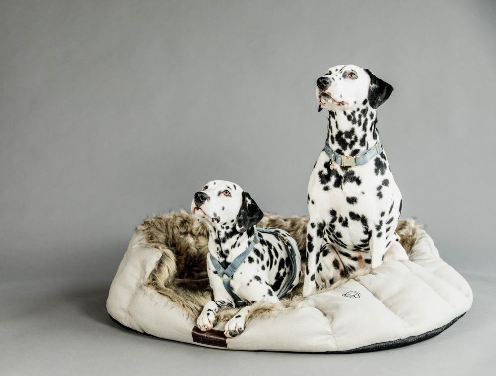 KENTUCKY® DOGWEAR Hundebett Cave, braun