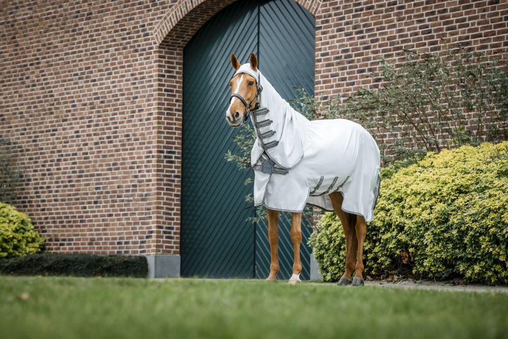 HORSEWARE® Amigo® Ripstop Hoody, silver/titanium 