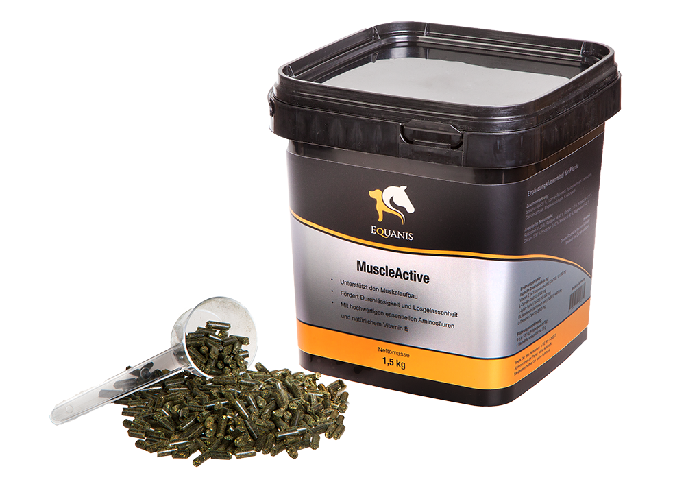 EQUANIS MuscleActive