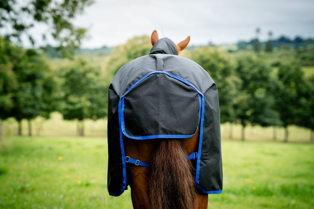 HORSEWARE® Amigo® Ripstop 900 Fleece Lined, 50 g, black/classic blue 